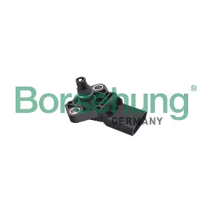 B11838 Borsehung