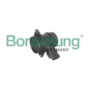 B12933 Borsehung