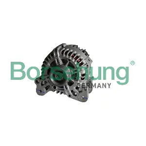 Borsehung B18196