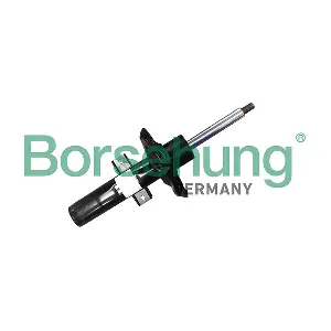 B11176 Borsehung