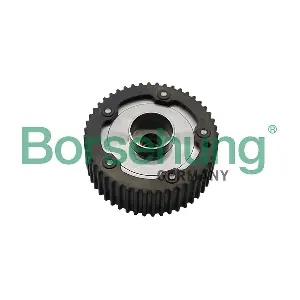 Borsehung B17949