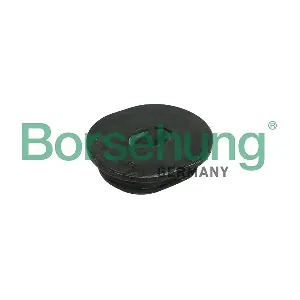 B11362 Borsehung