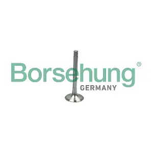 B19014 Borsehung