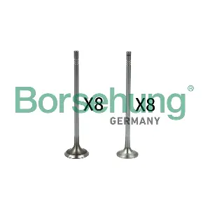 B18632 Borsehung