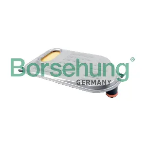 B12714 Borsehung