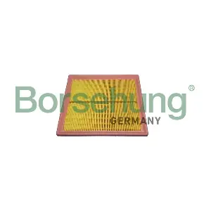 B12438 Borsehung
