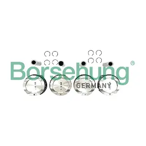 Borsehung B11136
