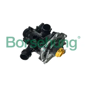 B18971 Borsehung