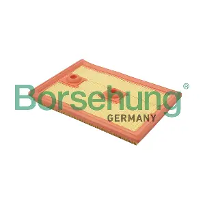 Borsehung B18013