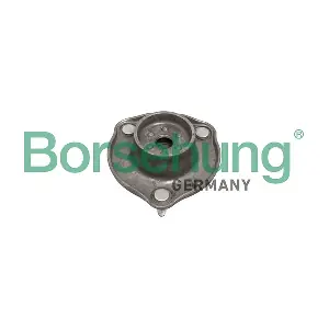 B10050 Borsehung