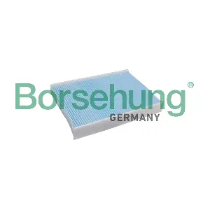 Borsehung B10541