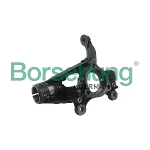 B18508 Borsehung