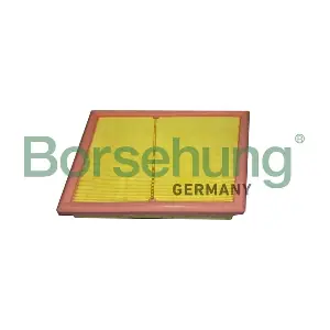 B12451 Borsehung