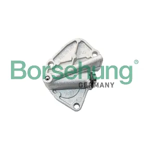 Borsehung B18299