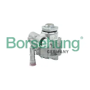 Borsehung B13212