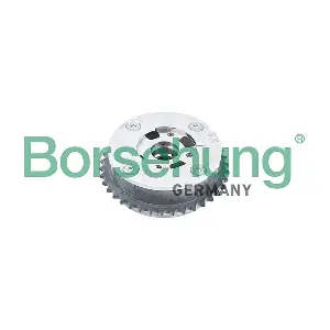 B12993 Borsehung