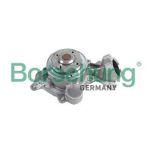 B12673 Borsehung