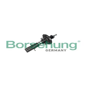 B18686 Borsehung