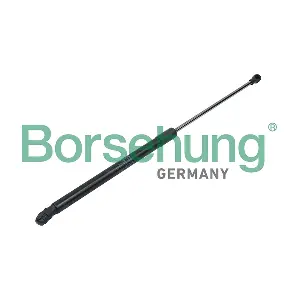 Borsehung B14191