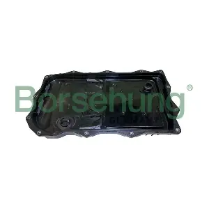 B12471 Borsehung