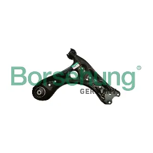 B12204 Borsehung