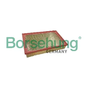 B13053 Borsehung