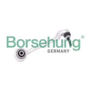 B12543 Borsehung