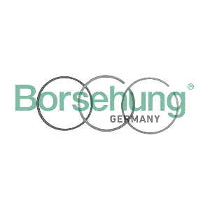 Borsehung B19039