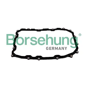 B12729 Borsehung