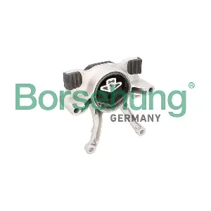 B12638 Borsehung