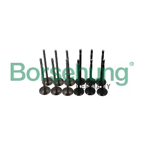 Borsehung B19160