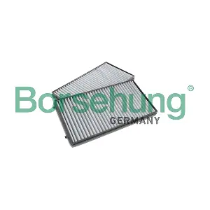 Borsehung B12857