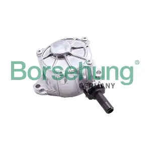 B12528 Borsehung