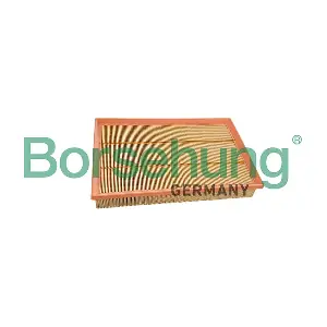 B13069 Borsehung