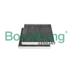 B12853 Borsehung