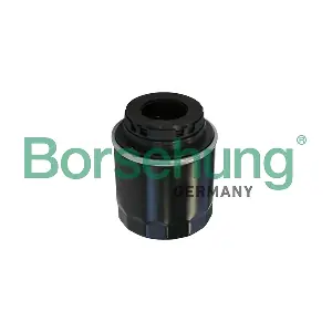 B10527 Borsehung