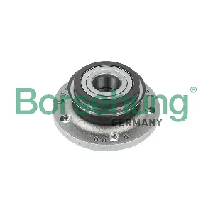 B15626 Borsehung