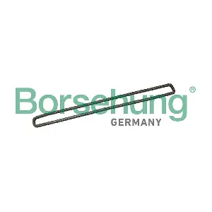 B1C026 Borsehung