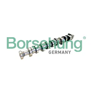 B11309 Borsehung