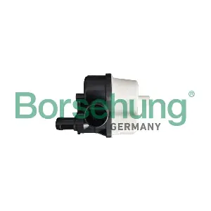 B12300 Borsehung