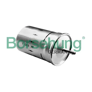 Borsehung B12794