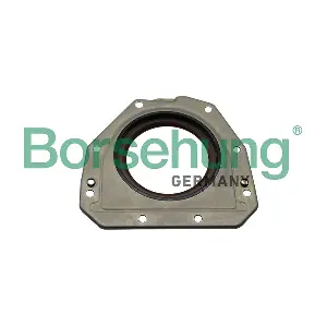 Borsehung B19208