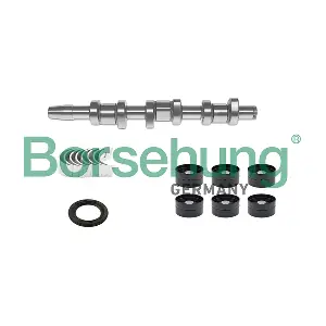 B18665 Borsehung
