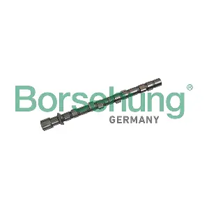 B11318 Borsehung