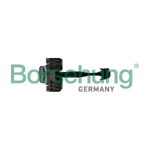 B12371 Borsehung