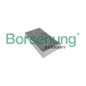 B12842 Borsehung