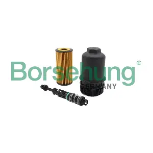B10435 Borsehung