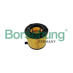 B13067 Borsehung