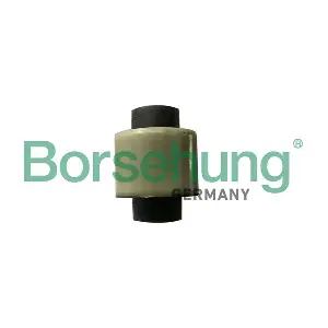 Borsehung B18722