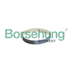 B10231 Borsehung